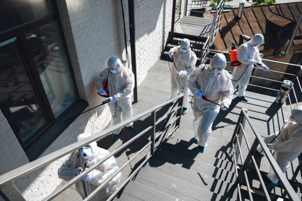 Best Mold Damage Restoration  in Opa Locka, FL