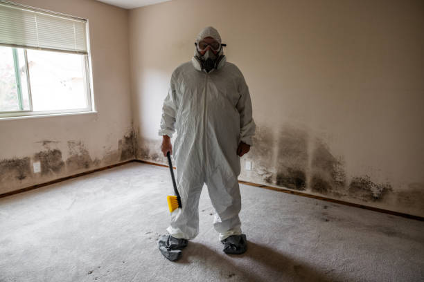 Best Mold Odor Removal Services  in Opa Locka, FL